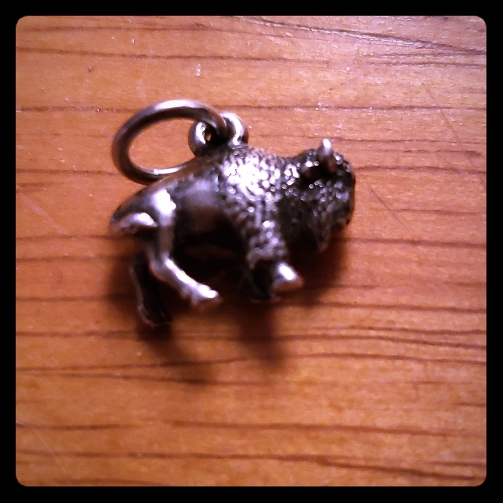 James Avery Bison charm